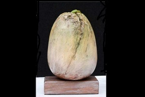 Artist: Imre (Hungary)